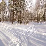Domek letniskowy Grygielówka Nad Jeziorem - Sauna&jacuzzi Kamień