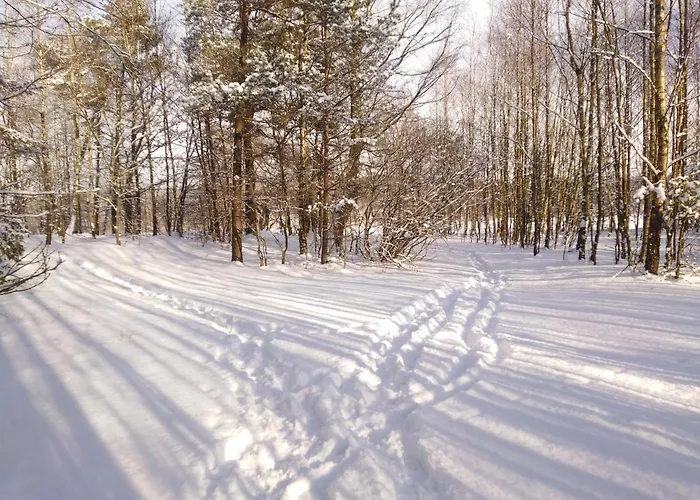 Lodge Grygielowka Nad Jeziorem - Sauna & Jacuzzi Kamień